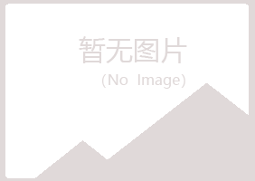 革吉县曼山水泥有限公司